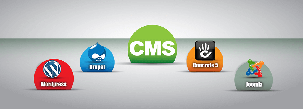 cms-development